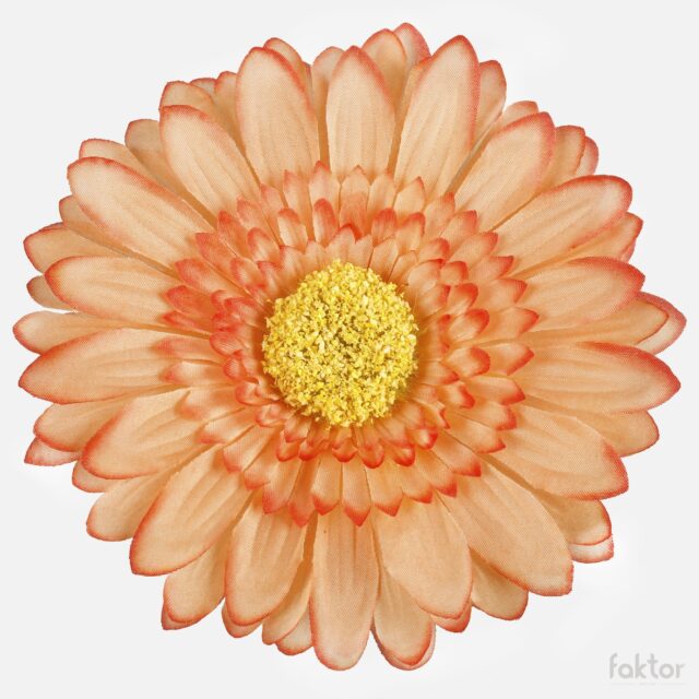 Vaaleanoranssireunainen gerbera-tekokukan kukkapää XXL
