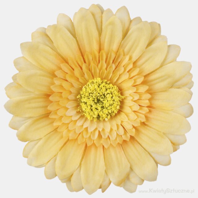Keltainen XXL-gerbera-tekokukan kukkapää, halkaisija 15 cm