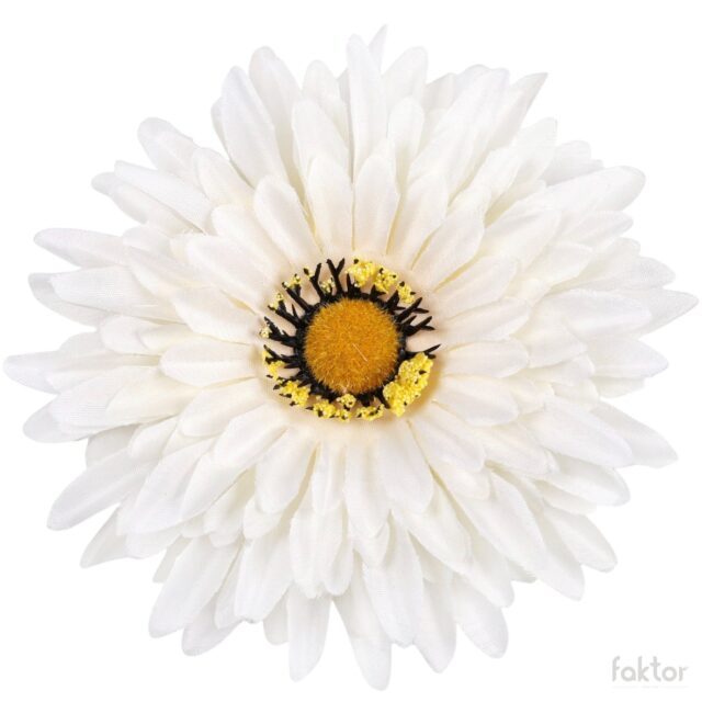 Kermanvärinen gerbera-tekokukan kukkapää, halkaisija 15 cm
