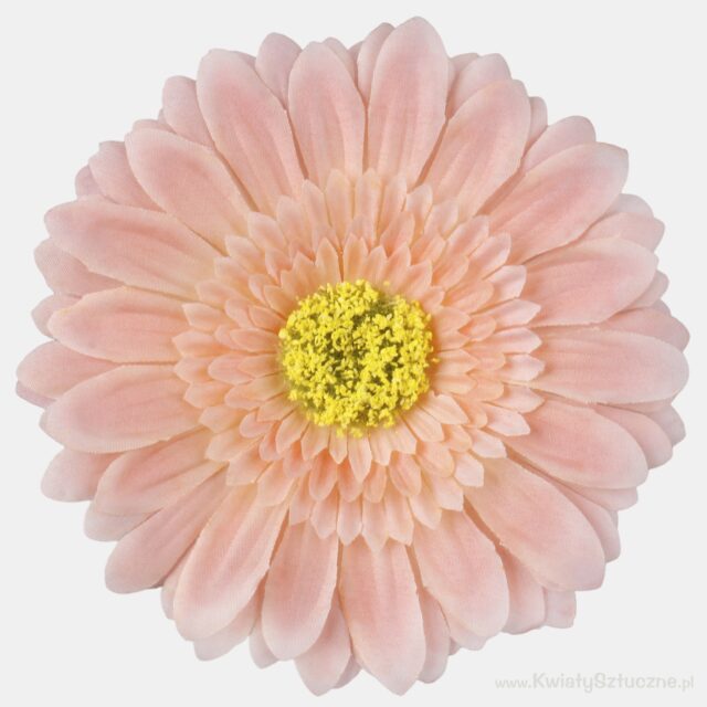 Persikanvärinen XXL-gerbera-tekokukan pää