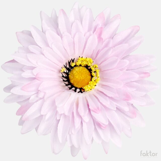Vaaleanpunainen gerbera-tekokukan kukkapää