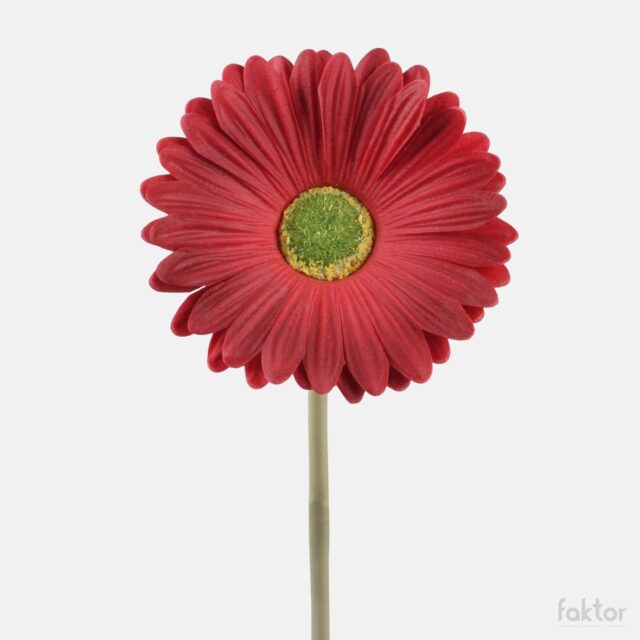 Punainen tekogerbera 37 cm