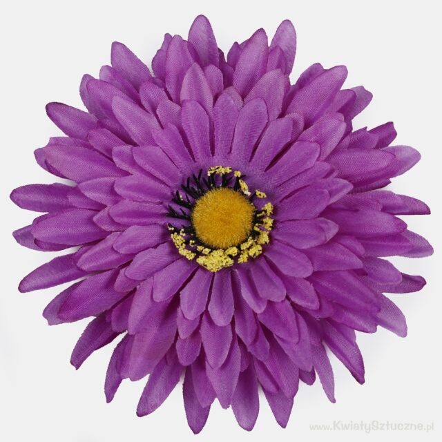 Violetti gerbera-tekokukka, halkaisija 15 cm