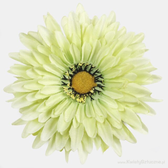 Vihreä gerbera-tekokukan kukkapää, halkaisija 15 cm