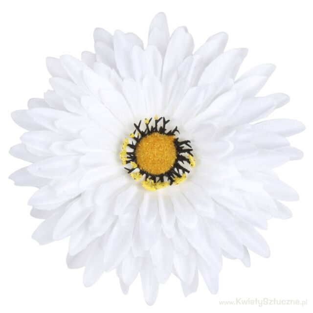 Valko-keltainen gerbera-tekokukan kukkapää, halkaisija 15 cm