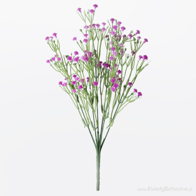 Violetti harsokukkaoksa