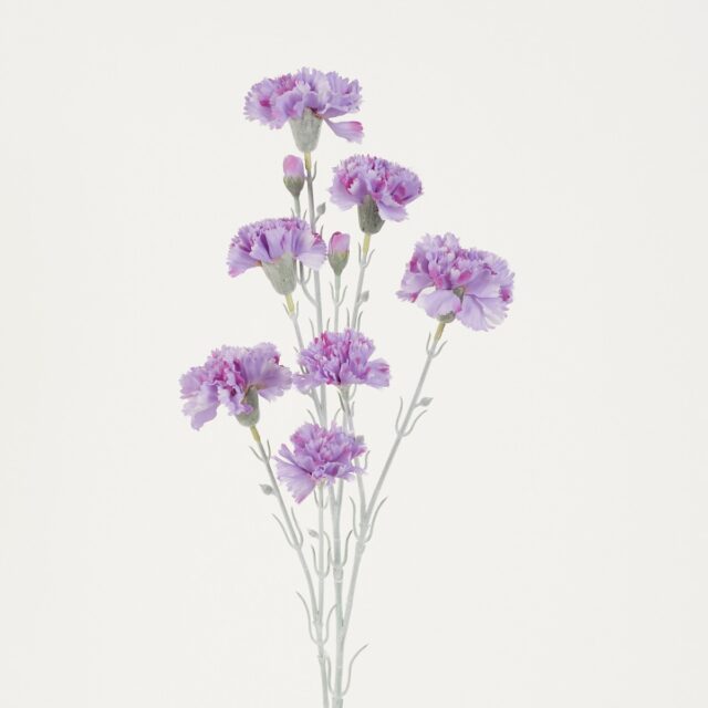 Vaaleanvioletti tekoneilikan oksa x3