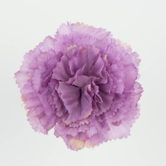 Violetti neilikan tekokukan pää