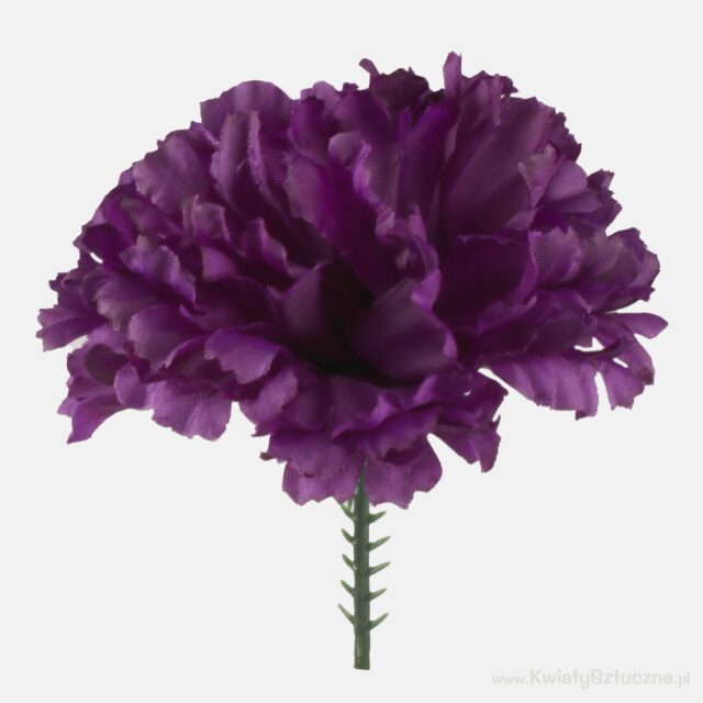 Tummanvioletti neilikan tekokukkapää