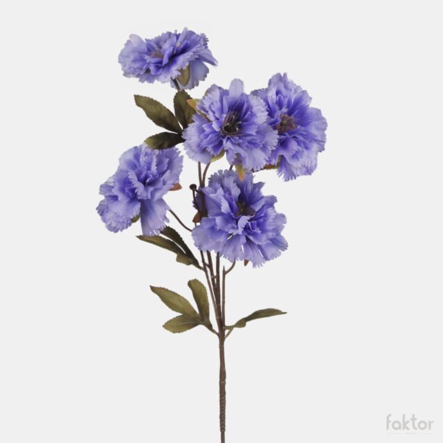 Violetti tekoneilikkaoksa, 5 kukkaa