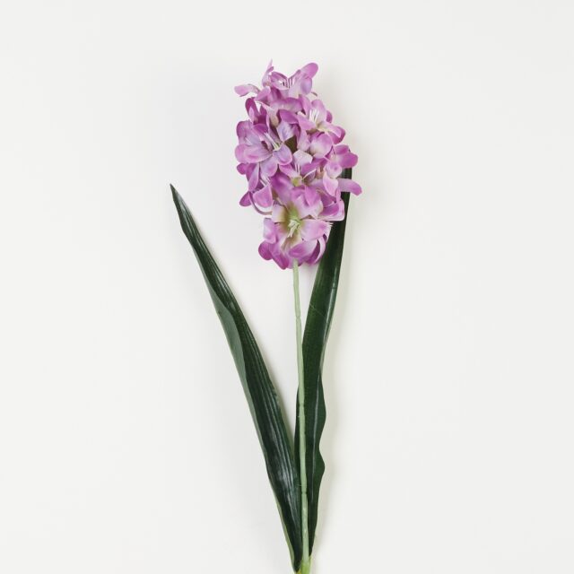 Violetti hyasintin tekokukkaoksa