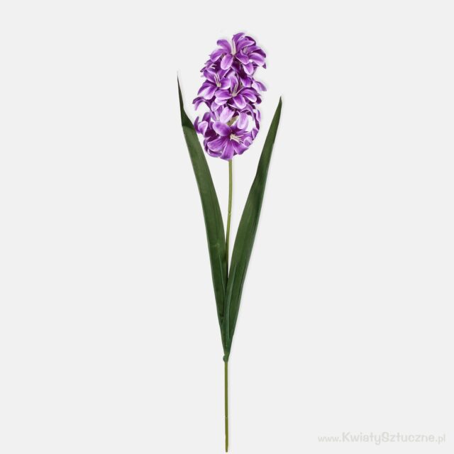 Violetti hyasintti tekokukka kukkavarrella