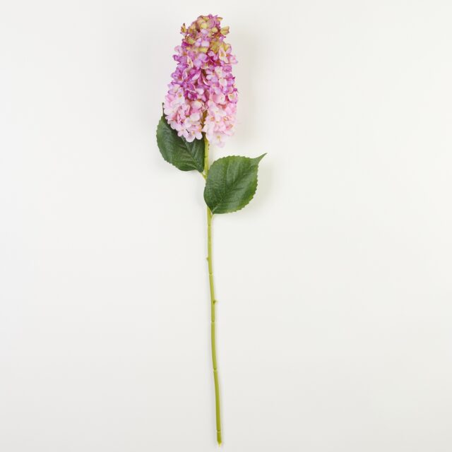 Vaaleanpunainen, violetti ja vihreä tekohortensiaoksa