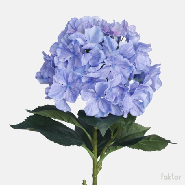 Sininen tekohortensia, 72 cm