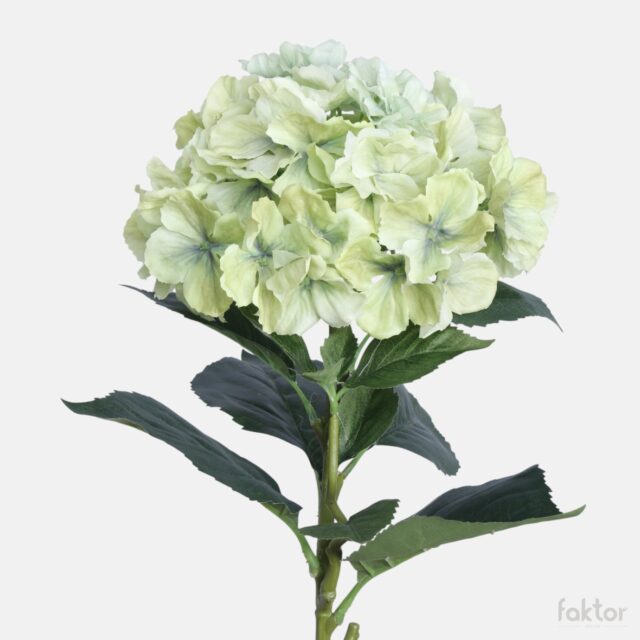 Vihreä hortensian tekokukkaoksa, 72 cm