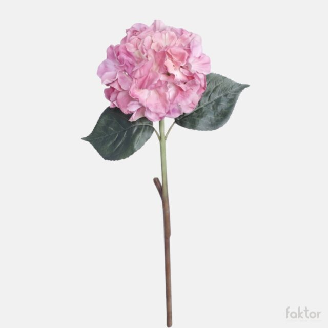 Violetti tekohortensia 60 cm