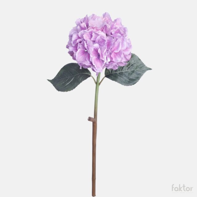 Violetti tekohortensia kukkavarrella
