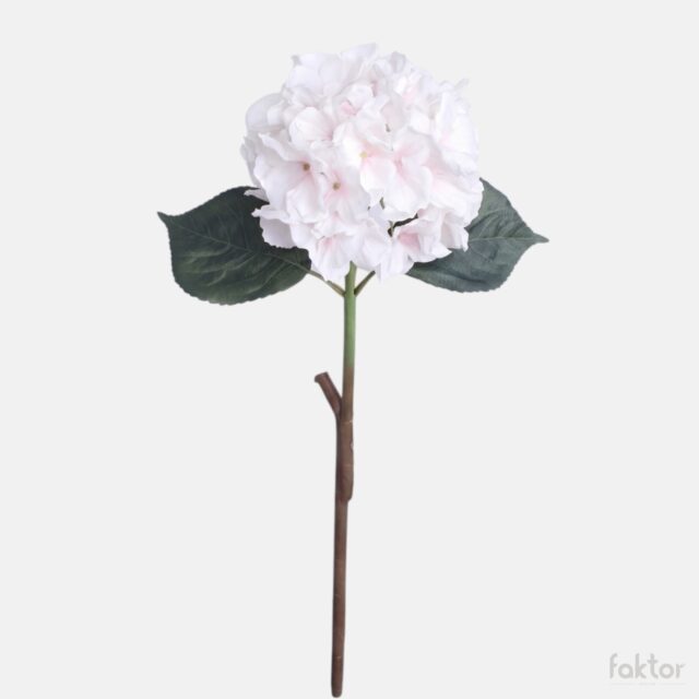 Kermainen persikanvärinen tekohortensia