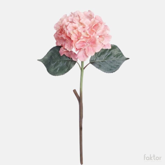 Oranssi tekohortensia varrella