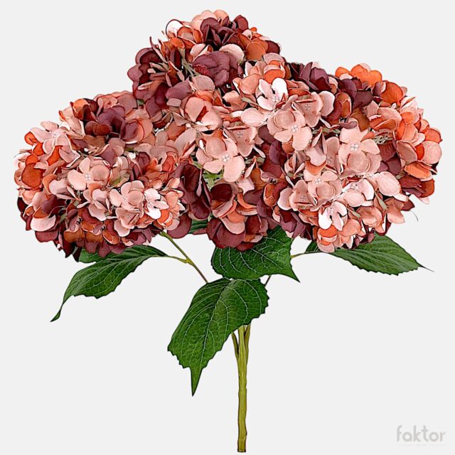 Syksyisen malvaoranssin sävyinen tekohortensia, 50 cm
