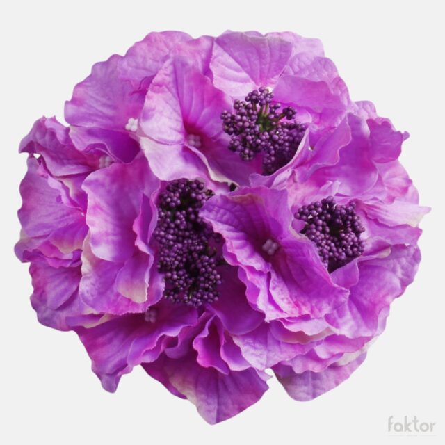 Violetti hortensian tekokukan kukkapää, halkaisija 16 cm