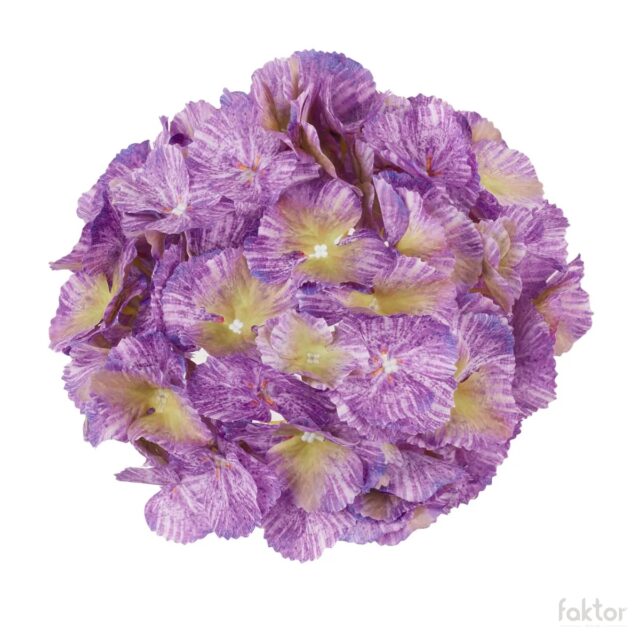 Violetti hortensian tekokukan kukkapää