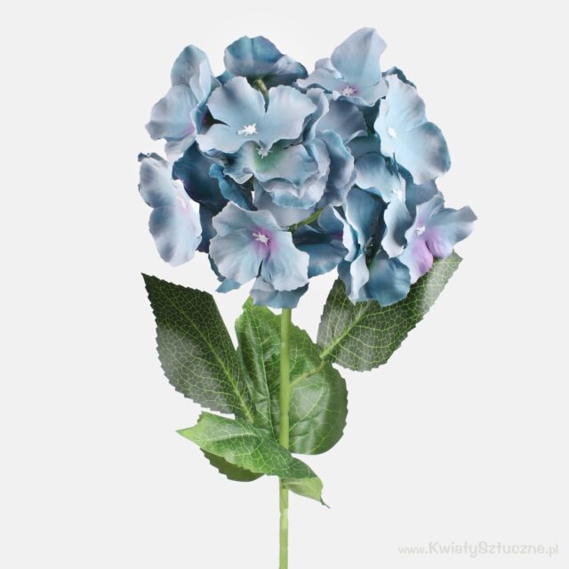 Sininen tekohortensia, 78 cm