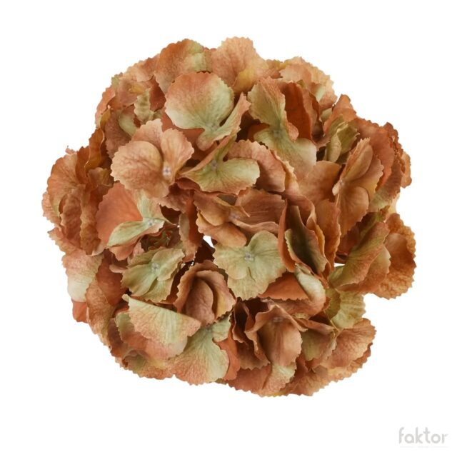 Oranssinruskea hortensian tekokukan kukkapää, halkaisija 23 cm