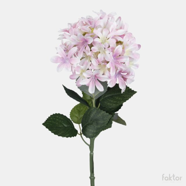 Vaaleanpunainen tekohortensia, 68 cm