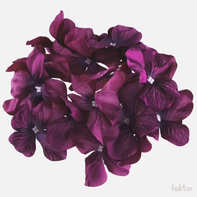 Lilanvärinen tekohortensian kukkapää violetilla reunalla
