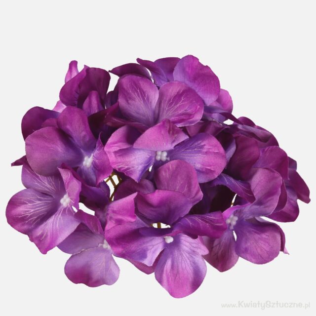 Violetti hortensian tekokukan kukkapää