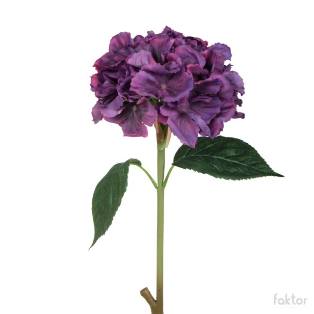 Violetti tekohortensia 60 cm