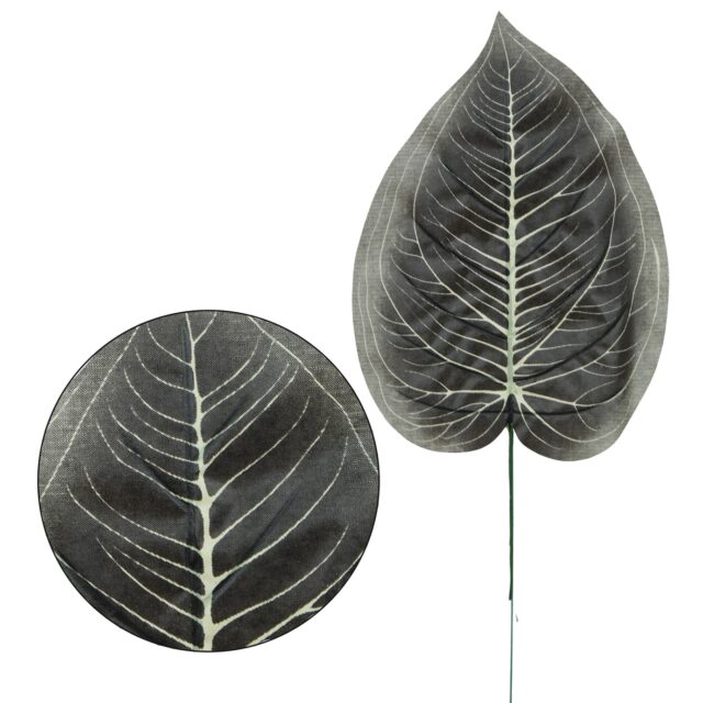 Harmaa hostan tekolehti varrella, 47 cm