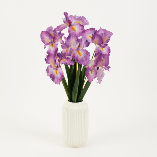 Violetti iiristekokukkakimppu