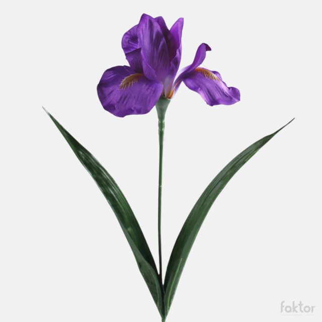 Violetti tekoiiris kukkavarrella