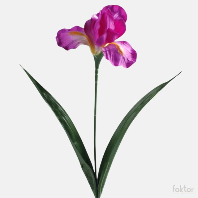 Violetti iiris-tekokukka, 60 cm