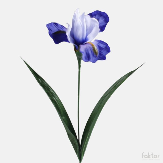 Sininen tekoiiris, 60 cm