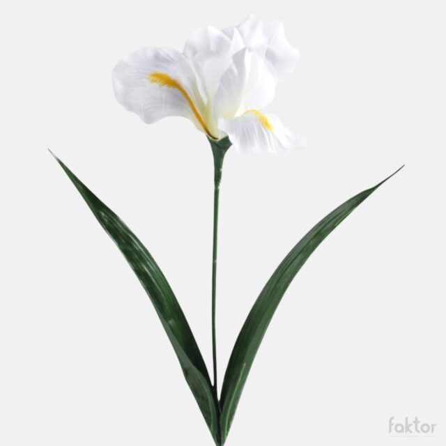 Valkoinen iiris-tekokukka 60 cm