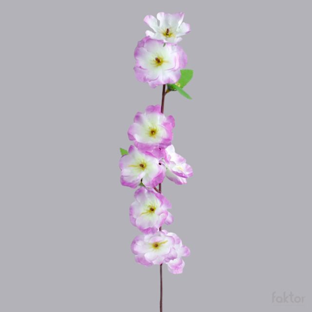 Violetti omenankukan tekokukkaoksa