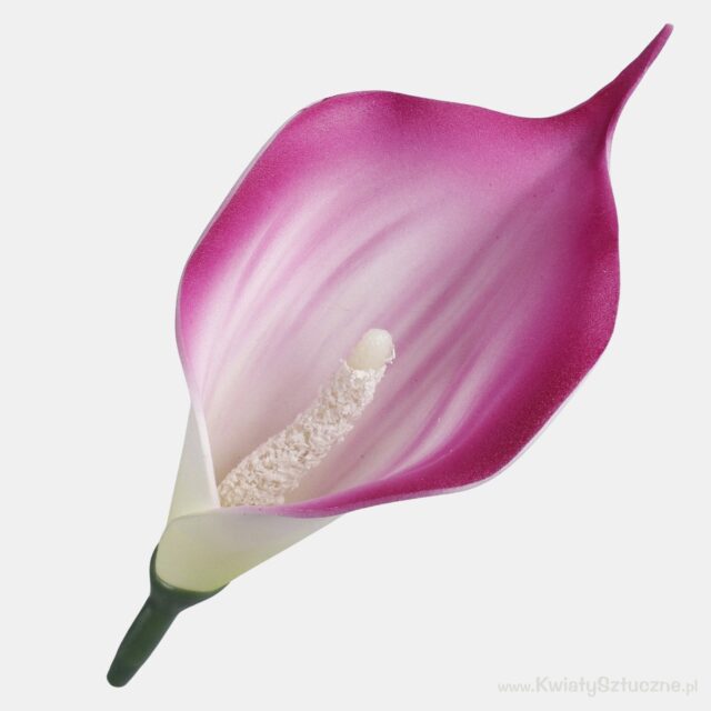 Viininpunainen–vihreä vaahtomuovinen calla-tekokukan kukkapää