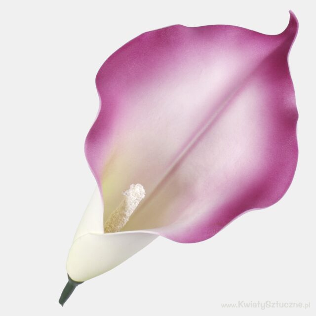 Violetti-vihreä vaahtomuovinen tekokallan kukkapää