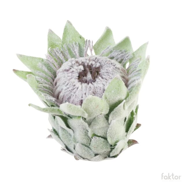 Vihreä artisokan tekokukan pää