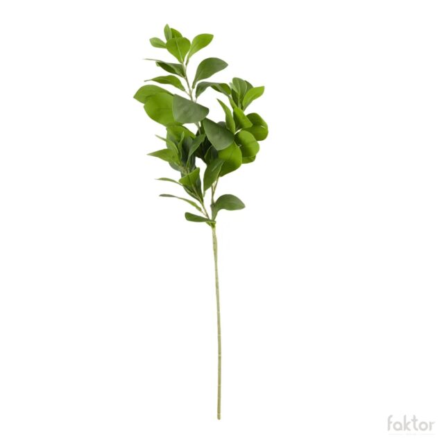Vihreä laakerikirsikan tekooksa, 73 cm