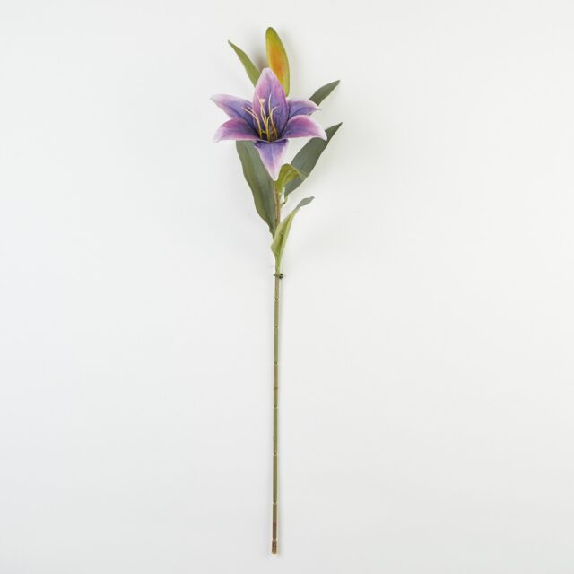 Violetti tekoliljan oksa vihreillä lehdillä