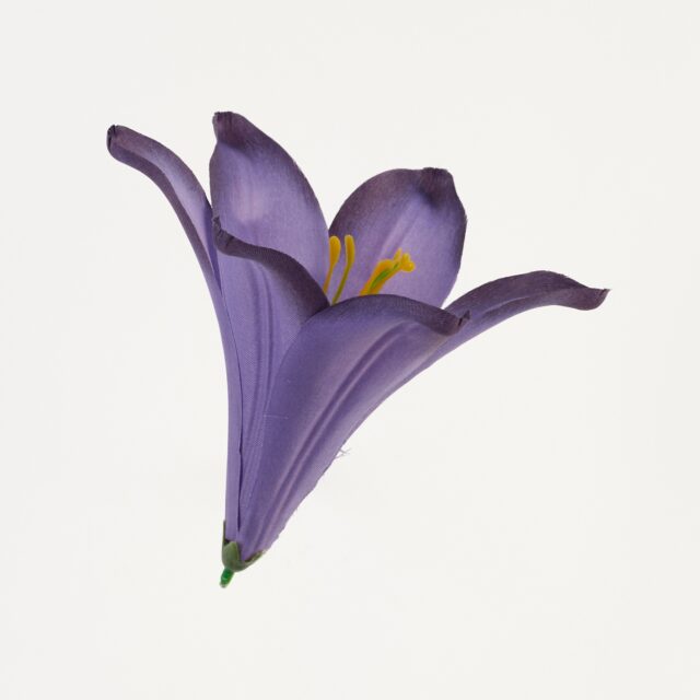 Violetti satiininen liljan tekokukan pää