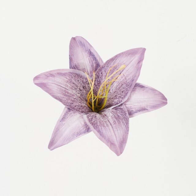 Violetti liljan tekokukkapää