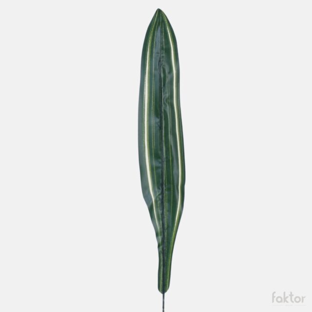 Kirjava tekokasvin dracaena-lehti