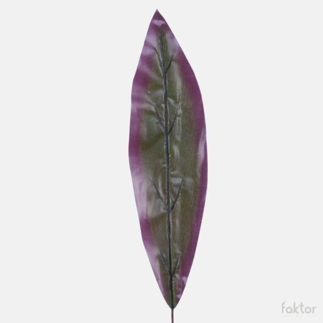 Punainen dracaena-tekolehti