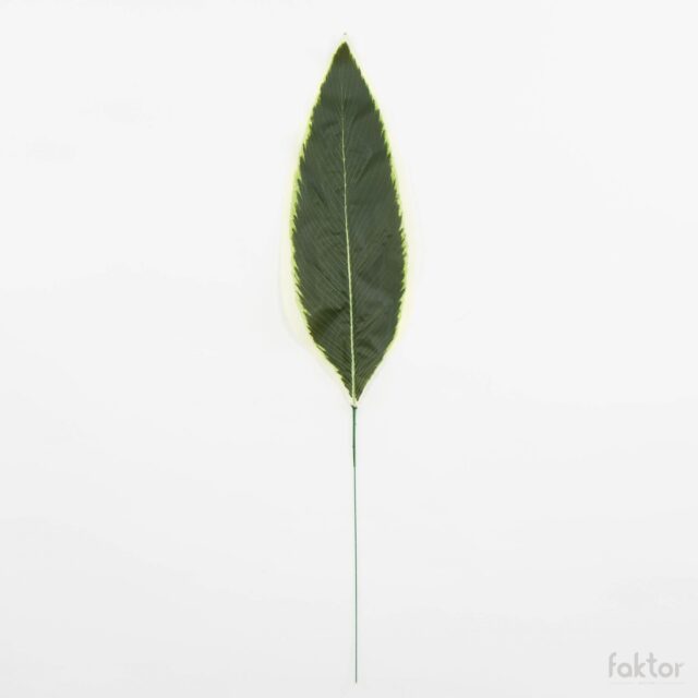 Vihreä dracaenan tekolehti