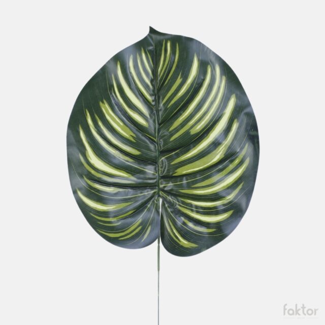 Vihreä Philodendron gloriosum -tekokasvin lehti